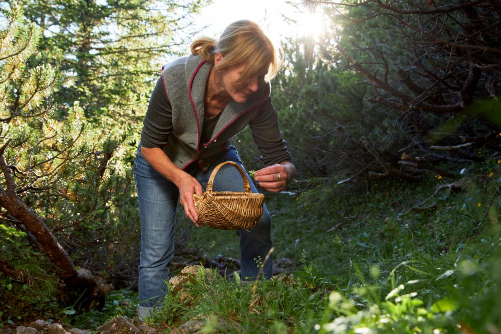 Wildkräuterspaziergang  (22.04.2026)